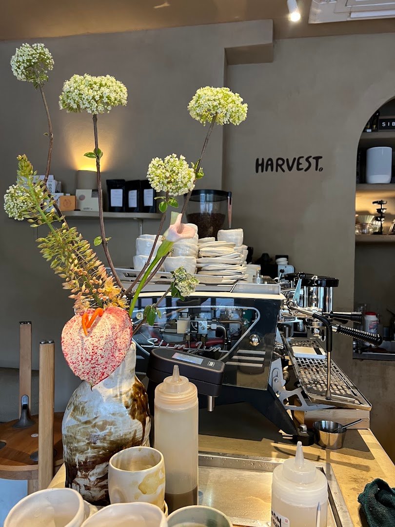 Harvest. specialty coffee shop in Paris - photo 8