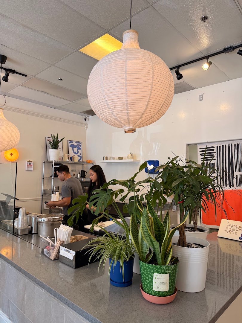 Interior of Caffeine Society, specialty coffee shop in Sacramento