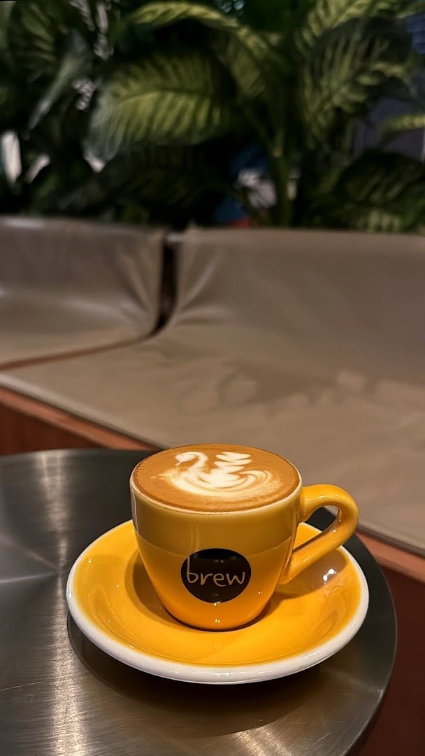Brew Cafe Jumeirah specialty coffee shop in Dubai - photo 5