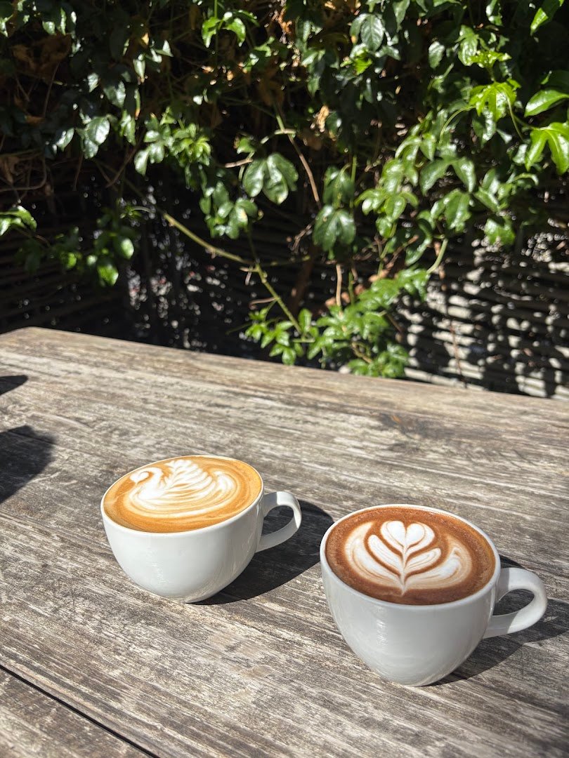 Boston Coffee Roasters specialty coffee shop in Cape Town - photo 2