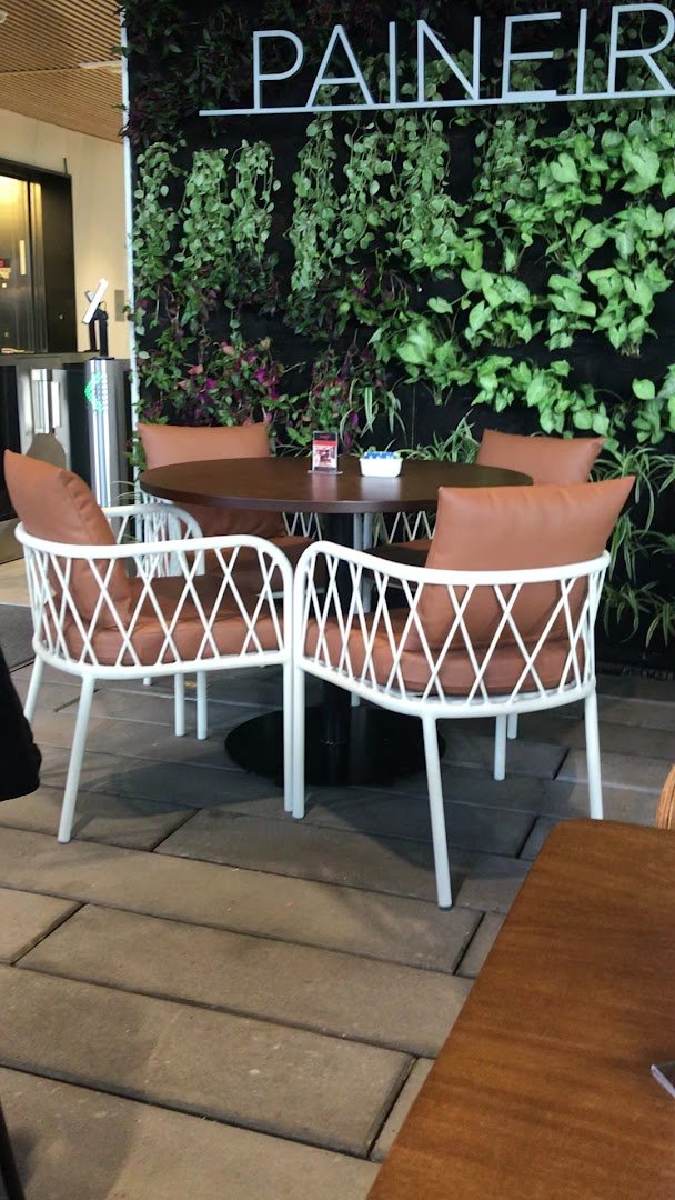 Interior of Santo Grão - Parque da Cidade, specialty coffee shop in São Paulo
