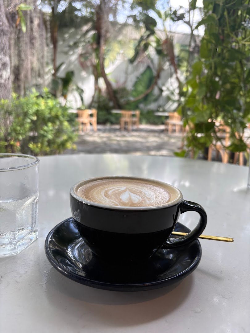 Coffee at Novela Cafe Social, specialty coffee shop in Miami