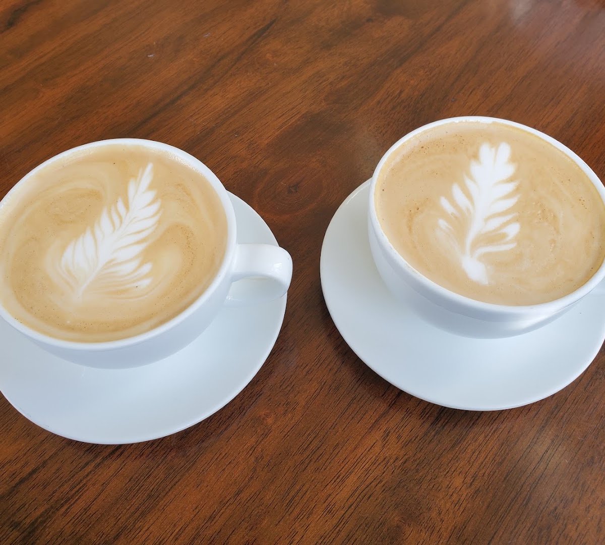 Coffee at Cedar Coffee, specialty coffee shop in Spokane