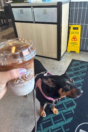 XO Espresso Bar specialty coffee shop in Miami - photo 14