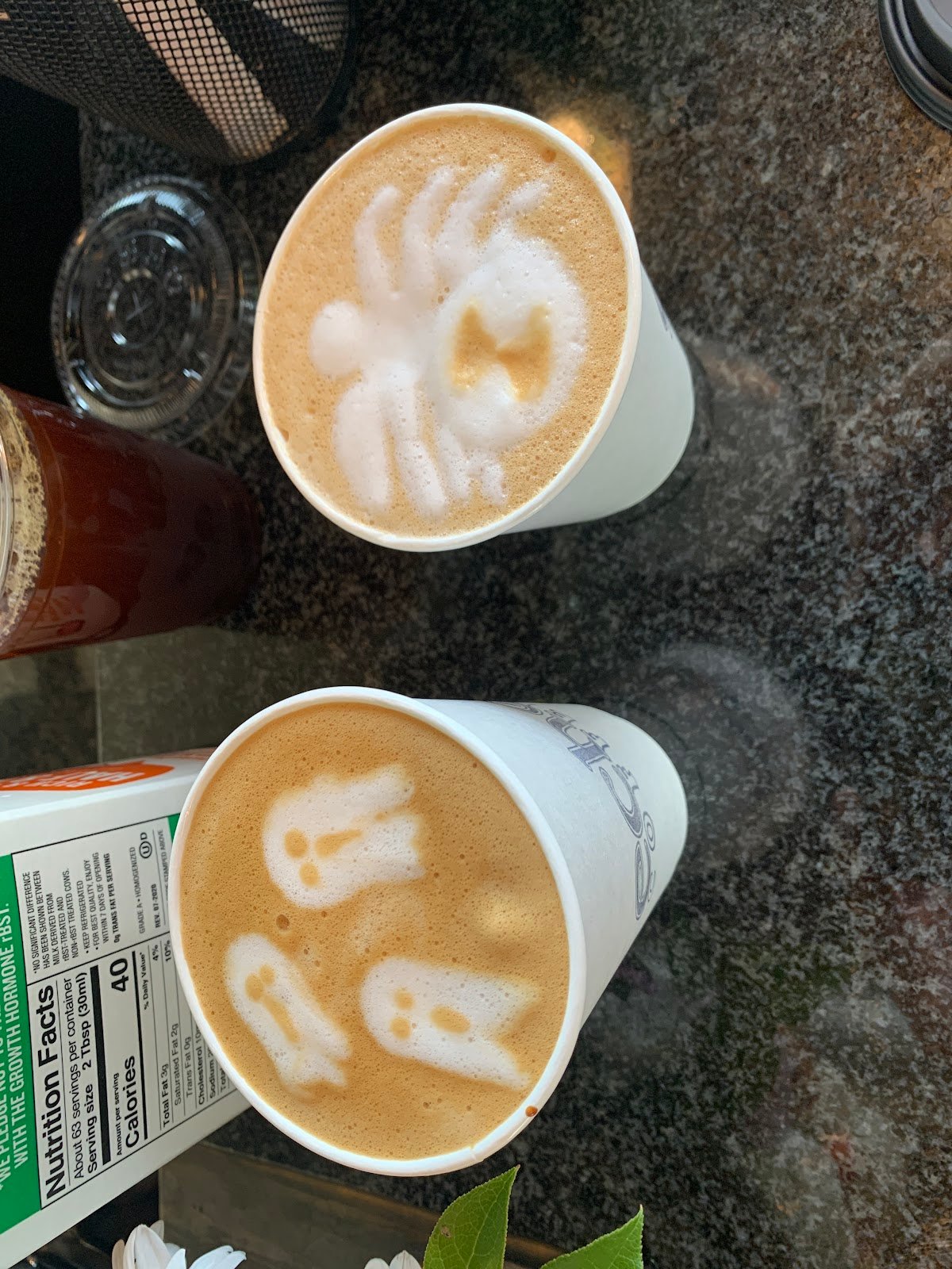 Echo Coffee specialty coffee shop in Phoenix - photo 3