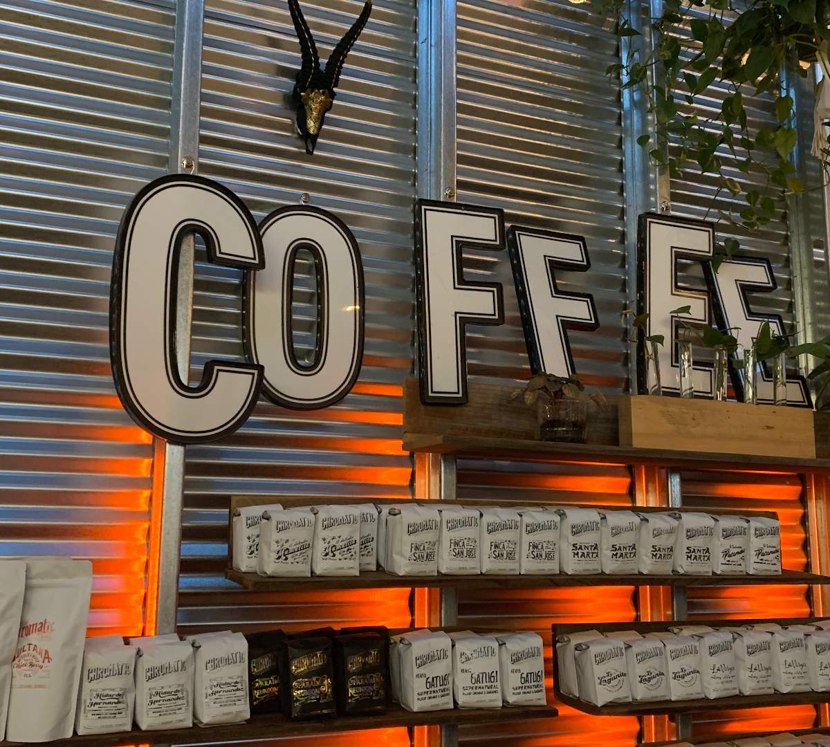 Interior of Chromatic Coffee Co., specialty coffee shop in San Jose