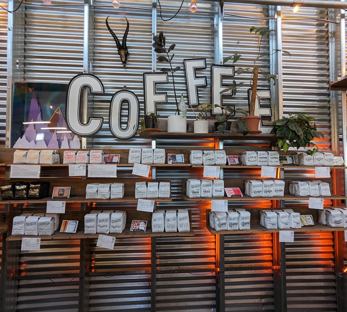 Interior of Chromatic Coffee Co., specialty coffee shop in San Jose