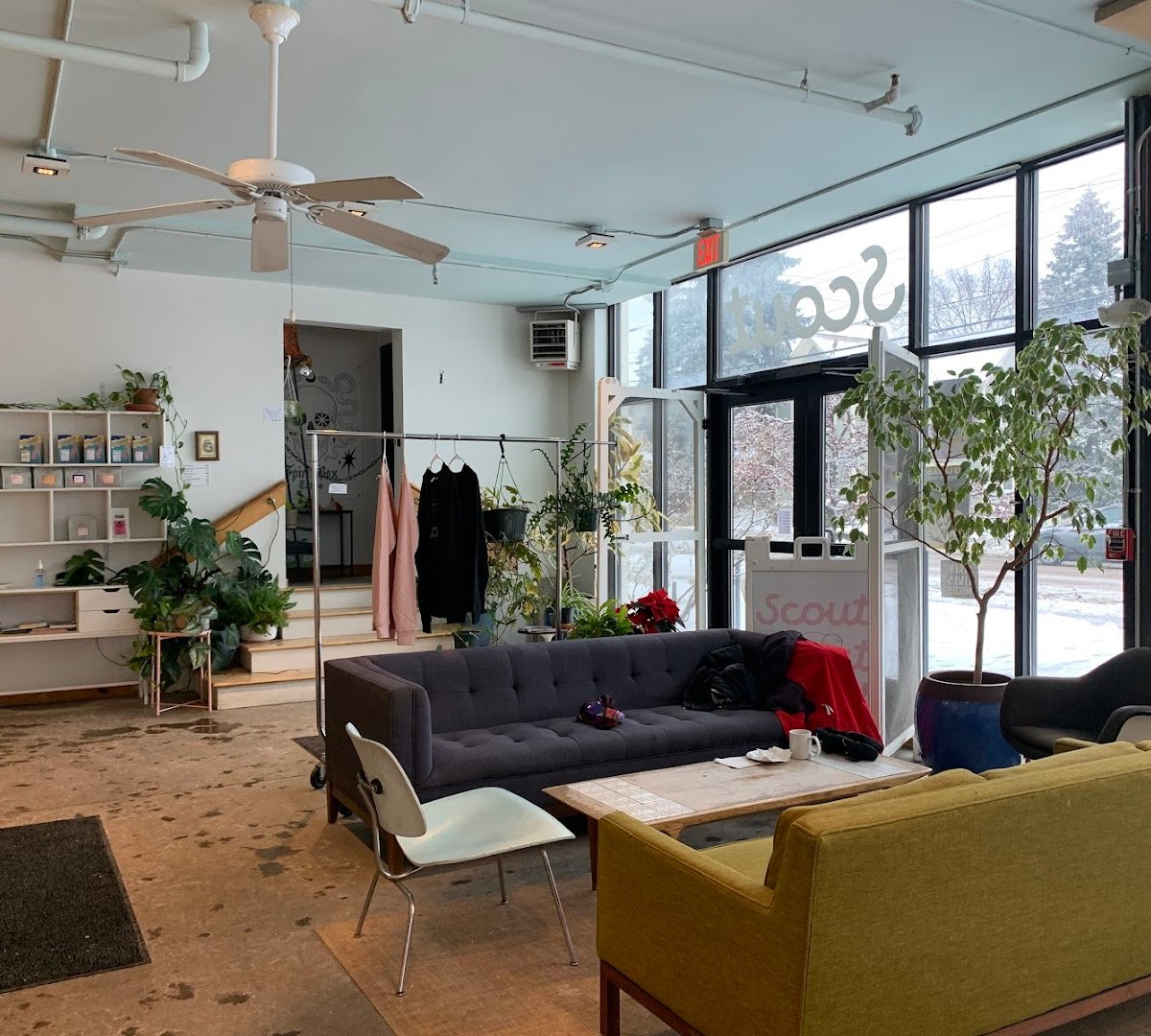 Scout O.N.E. specialty coffee shop in Burlington - photo 6