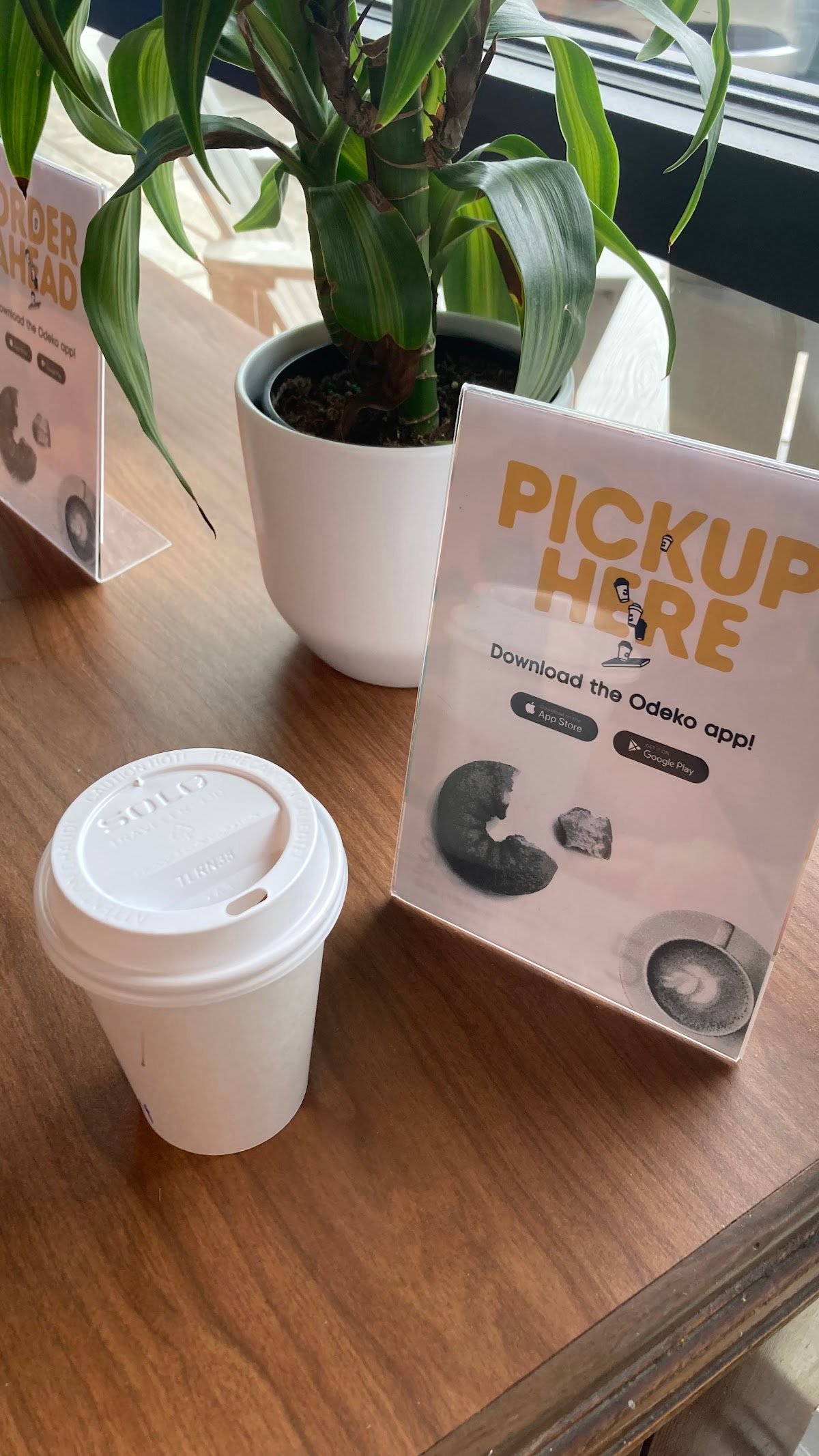 Insomnia Coffee Co - Cedar Mill specialty coffee shop in Portland - photo 12