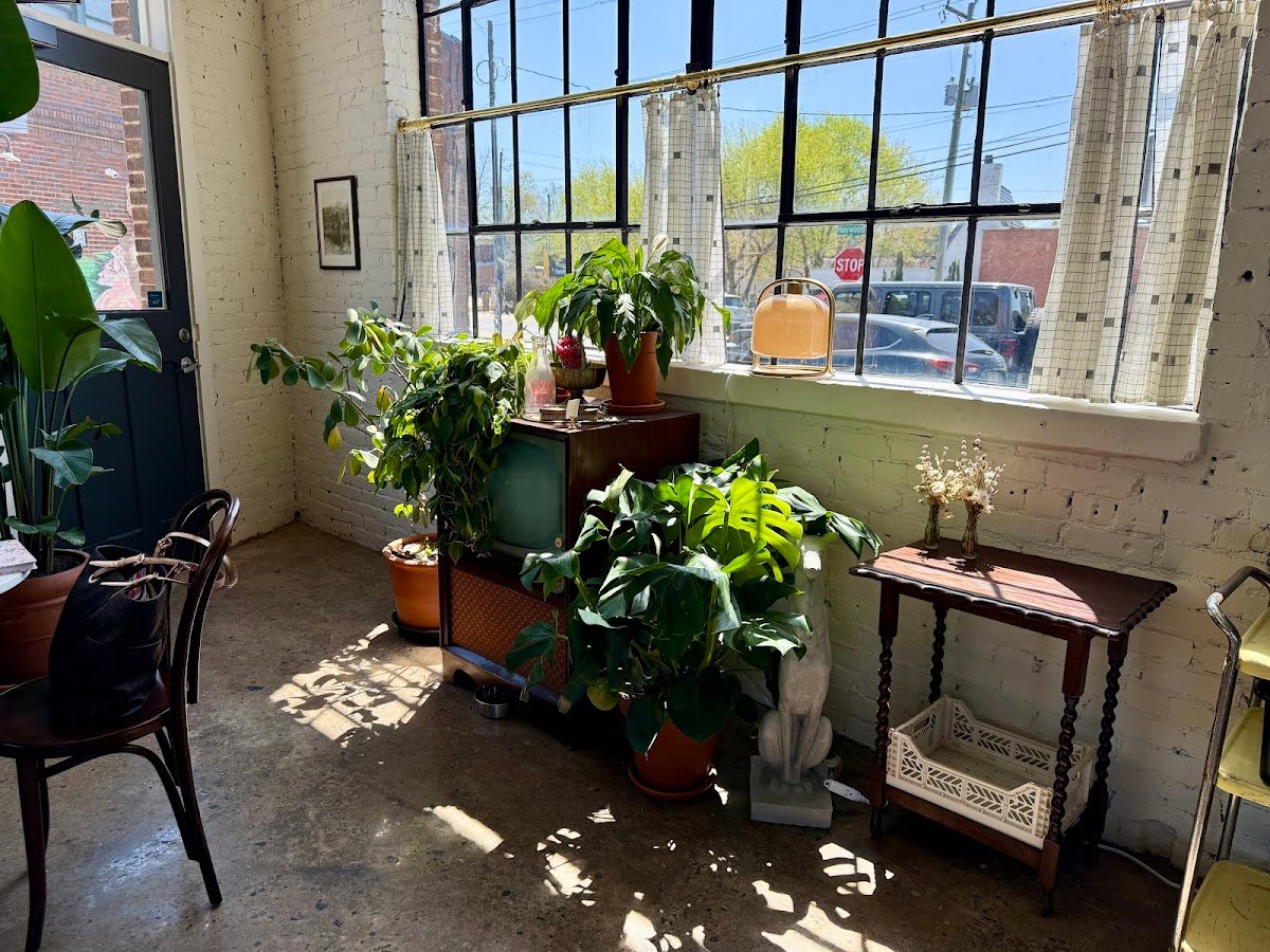 Rowan Coffee specialty coffee shop in Asheville - photo 6