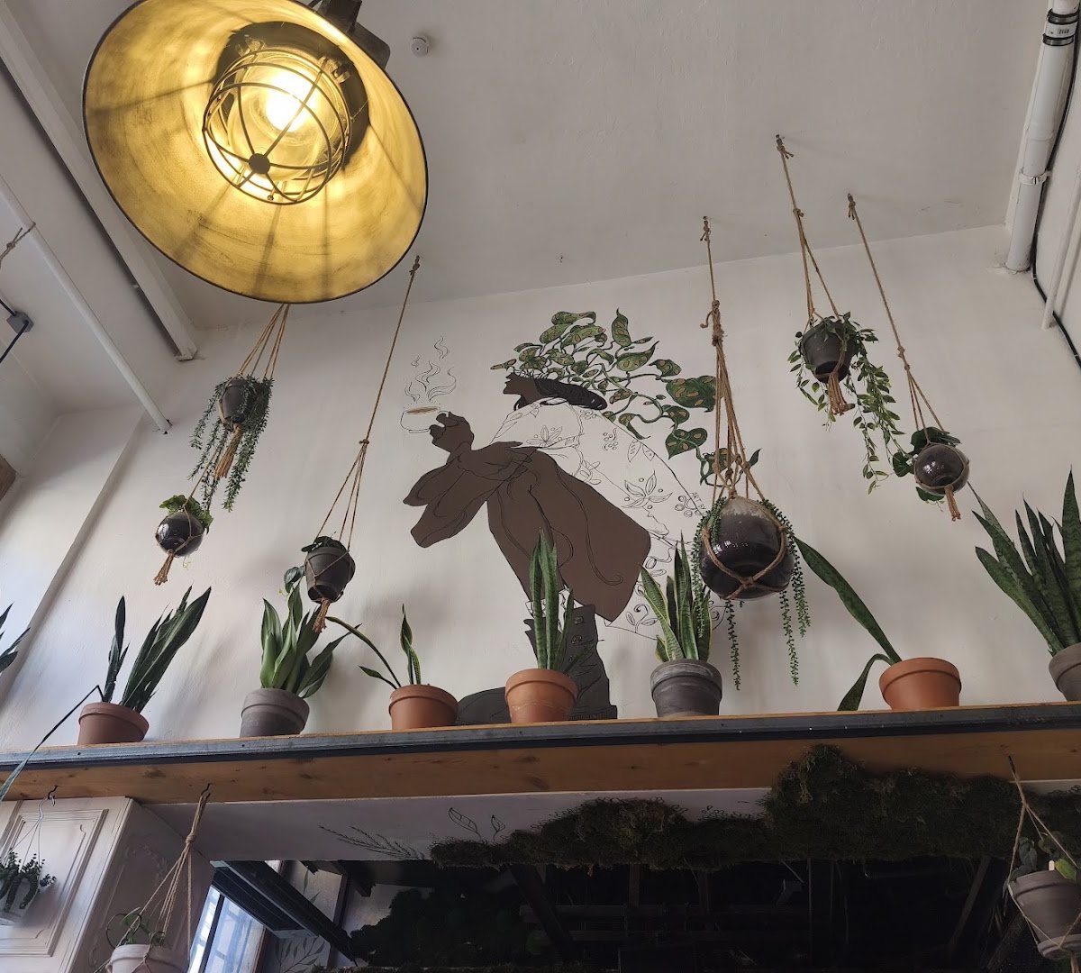 The Greens - Coffee & Plants specialty coffee shop in Berlin - photo 10