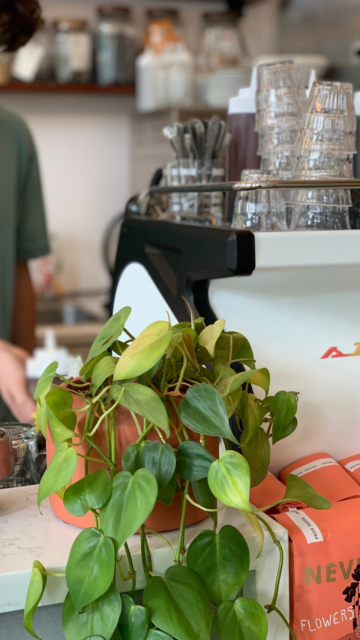 Never Coffee specialty coffee shop in Portland - photo 14