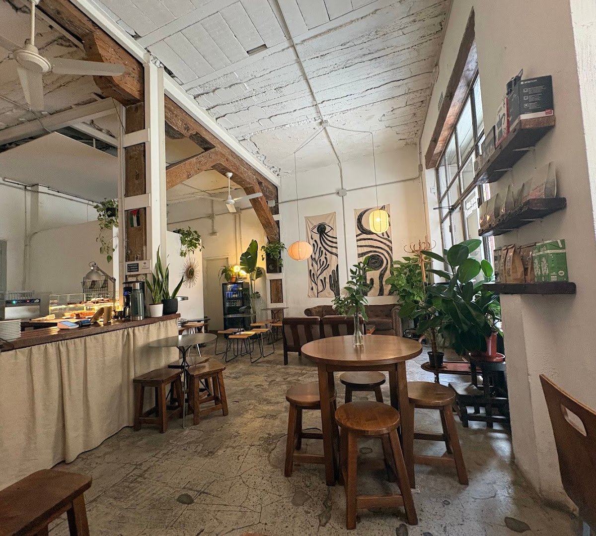 Slow Café specialty coffee shop in Madrid - photo 2