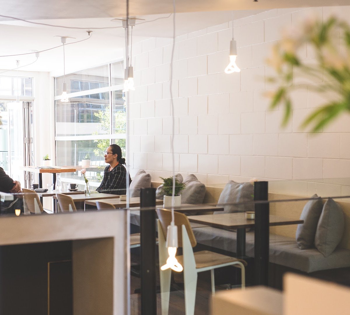 Interior of Frank's Coffee & Eats, specialty coffee shop in Wellington