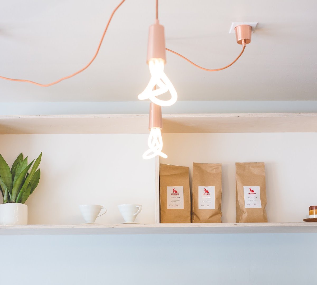 Interior of Frank's Coffee & Eats, specialty coffee shop in Wellington