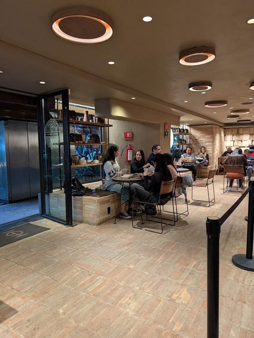 Interior of Tierra Garat, specialty coffee shop in Mexico City
