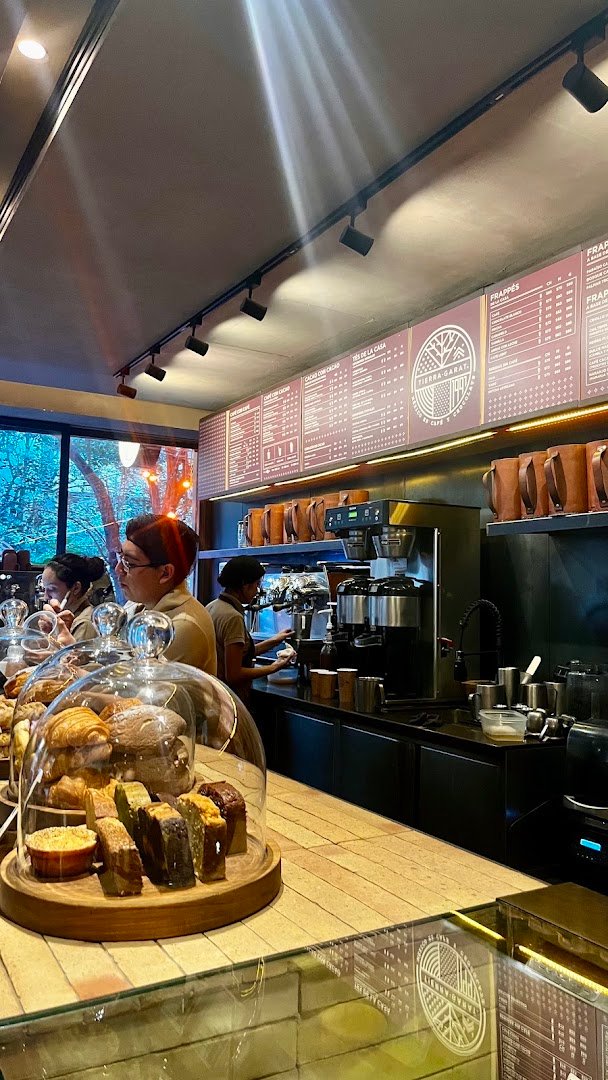 Interior of Tierra Garat, specialty coffee shop in Mexico City