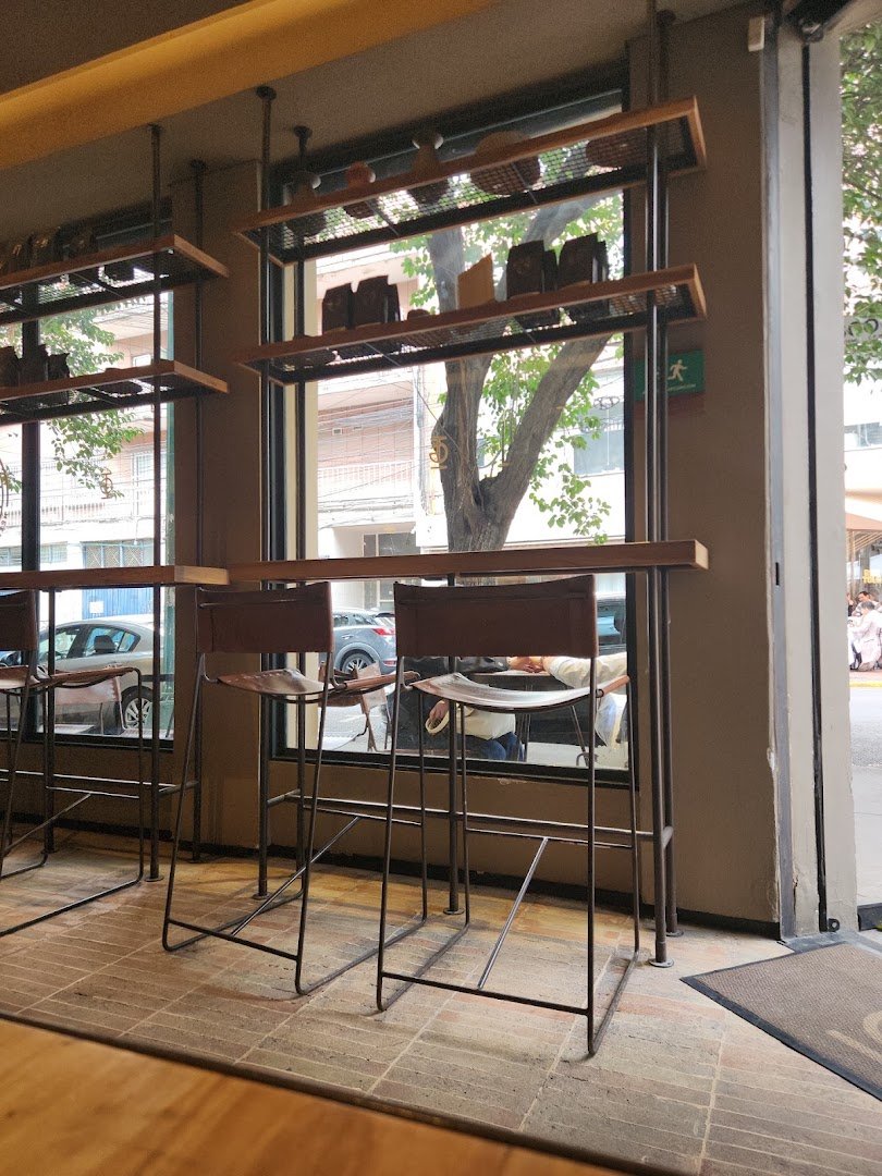 Interior of Tierra Garat, specialty coffee shop in Mexico City