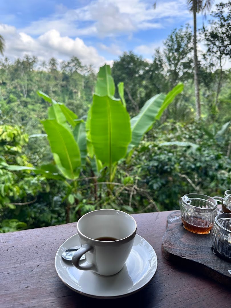 CAHYA DEWI AGRO TOURISM specialty coffee shop in Bali - photo 4