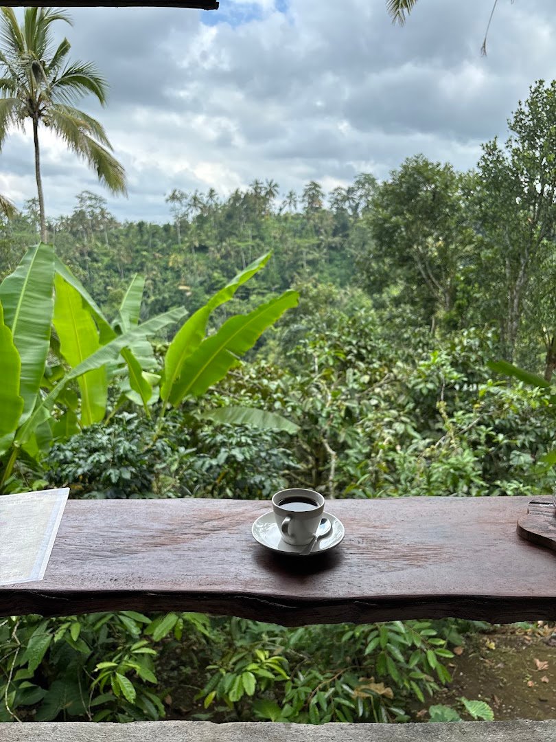 CAHYA DEWI AGRO TOURISM specialty coffee shop in Bali - photo 5