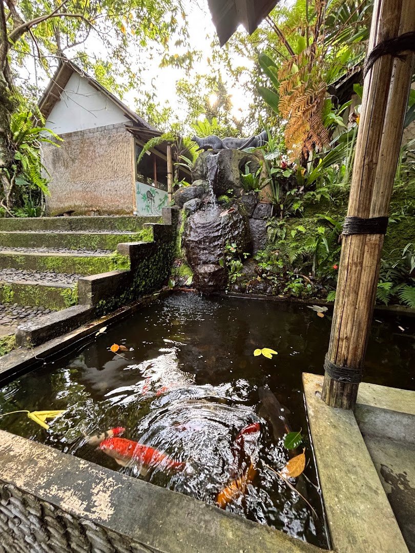 CAHYA DEWI AGRO TOURISM specialty coffee shop in Bali - photo 7