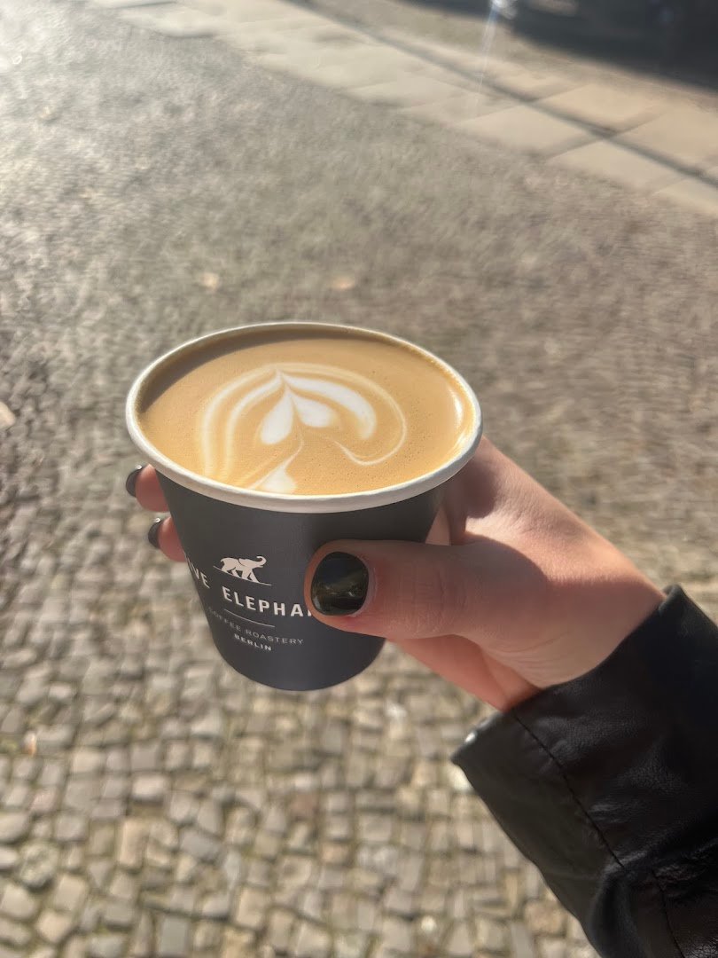 Five Elephant Kollwitz specialty coffee shop in Berlin - photo 14