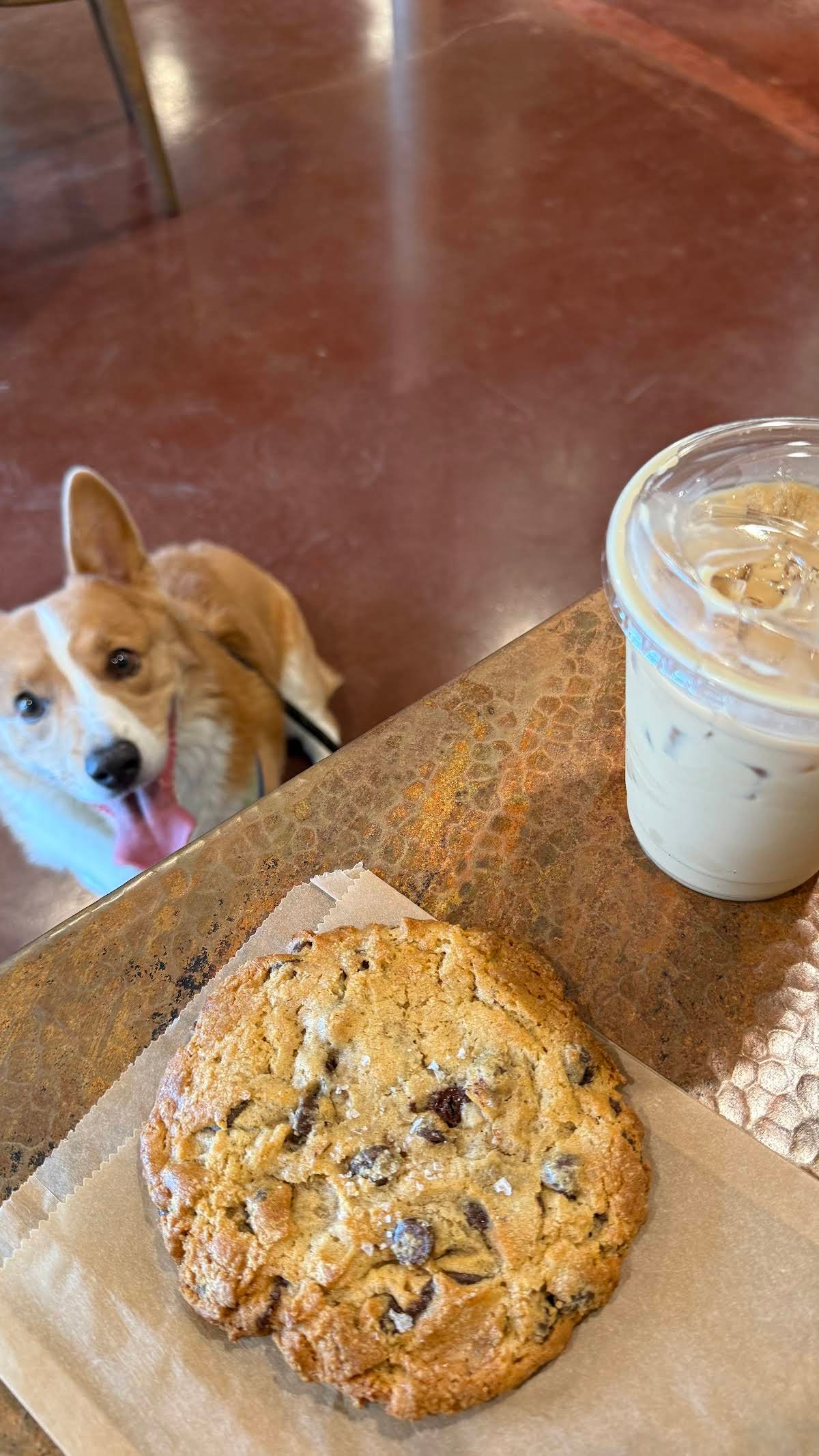 Firecreek Coffee Company specialty coffee shop in Phoenix - photo 8