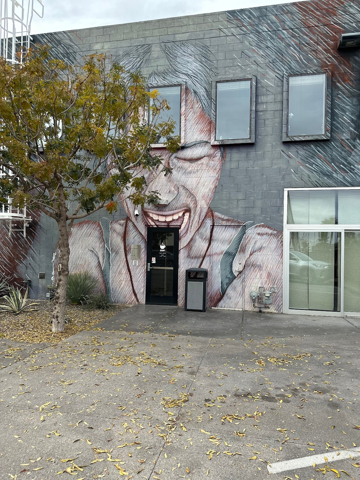 Giant Coffee specialty coffee shop in Phoenix - photo 3