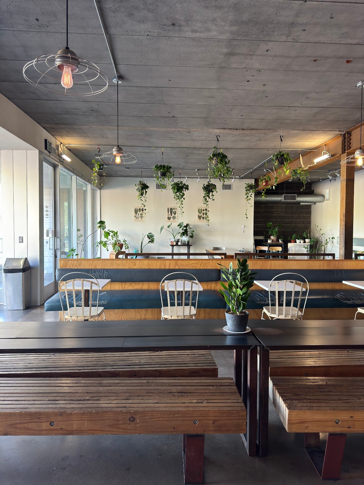 Giant Coffee specialty coffee shop in Phoenix - photo 6