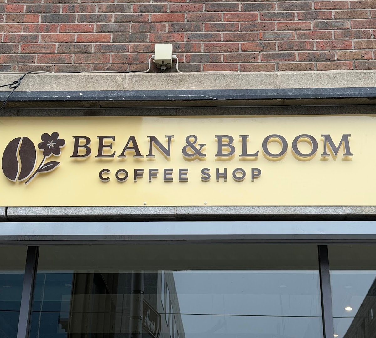 Bean & Bloom Coffee Shop specialty coffee shop in Dublin - photo 10