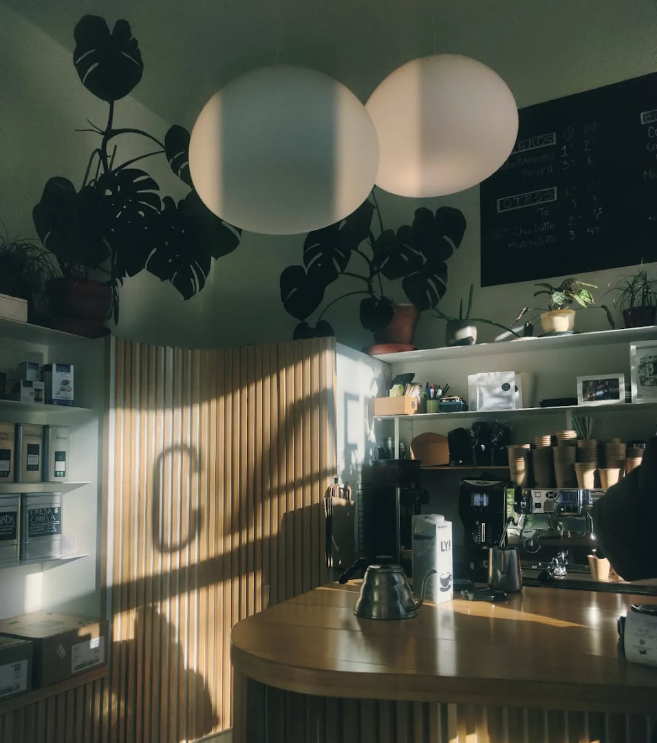 Cafeteando specialty coffee shop in Madrid - photo 5