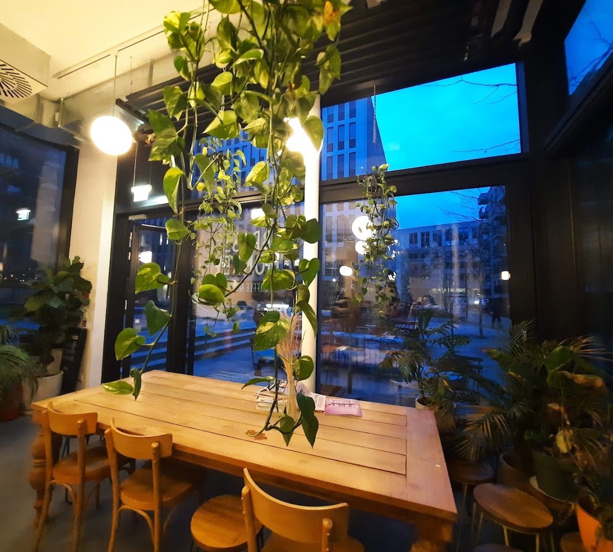 Interior of Brass Monkey, specialty coffee shop in Vienna