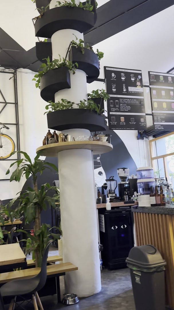 Interior of Blend Station coffee shop, specialty coffee shop in Mexico City