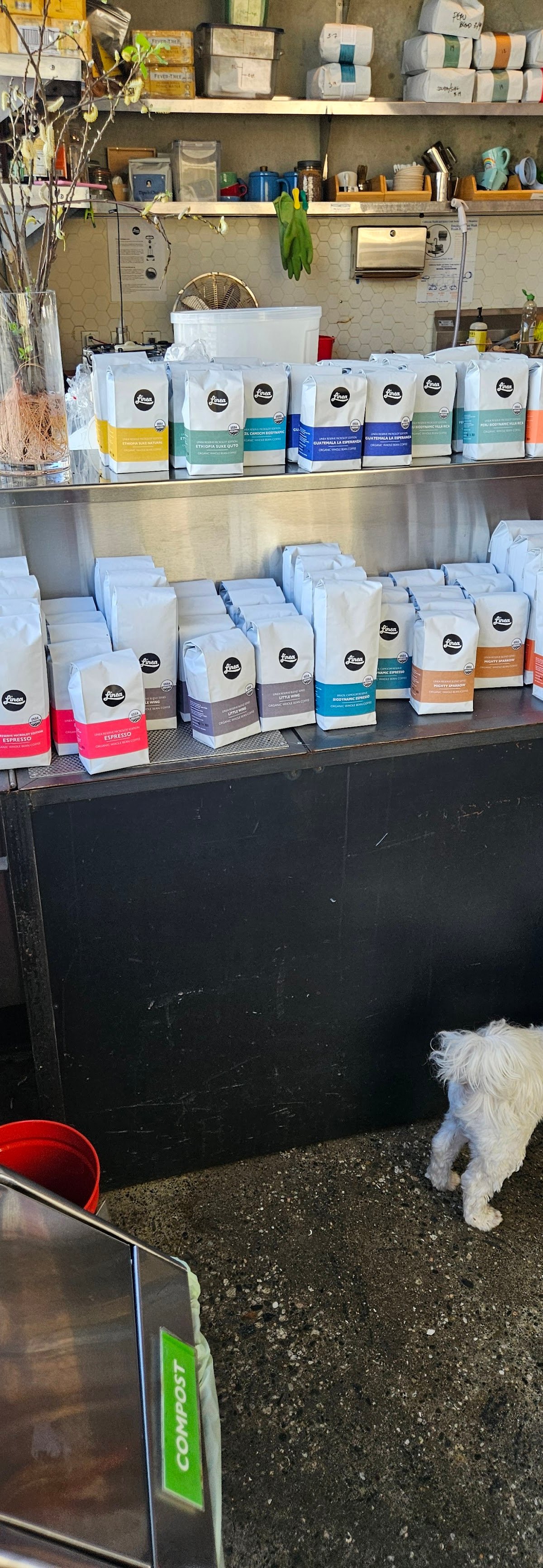 Linea Caffe specialty coffee shop in San Francisco - photo 9