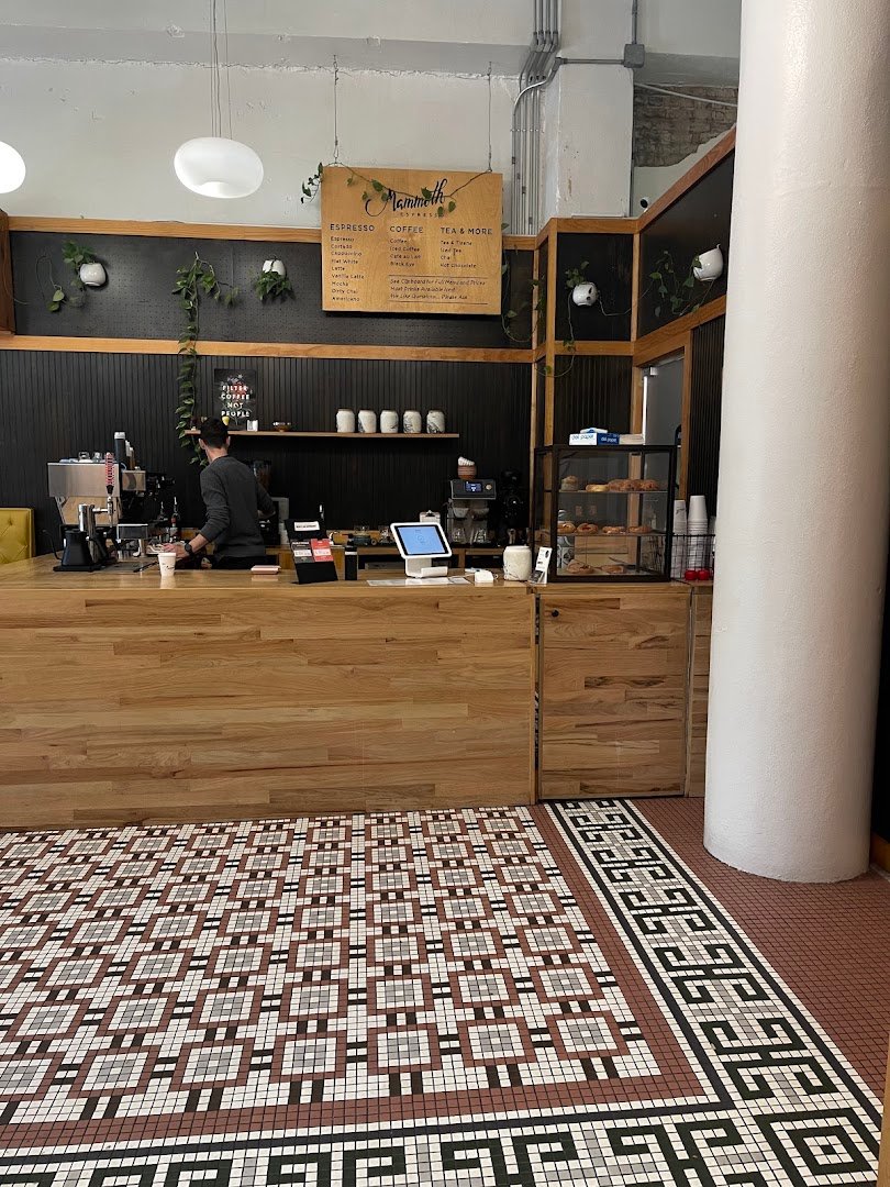 Interior of Mammoth Espresso, specialty coffee shop in New Orleans