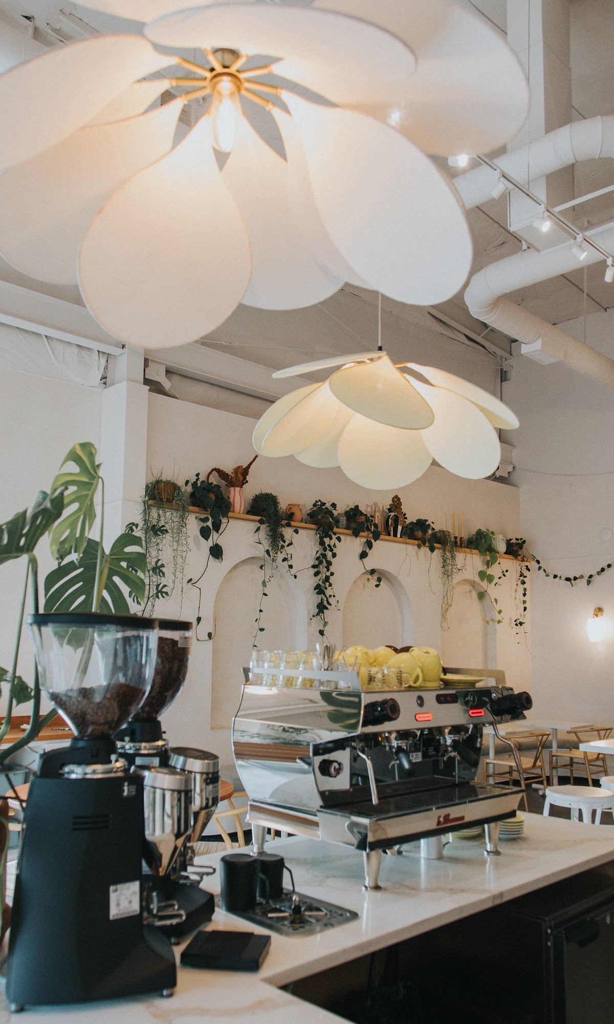 Futura Coffee Roasters - Glisan St specialty coffee shop in Portland - photo 11