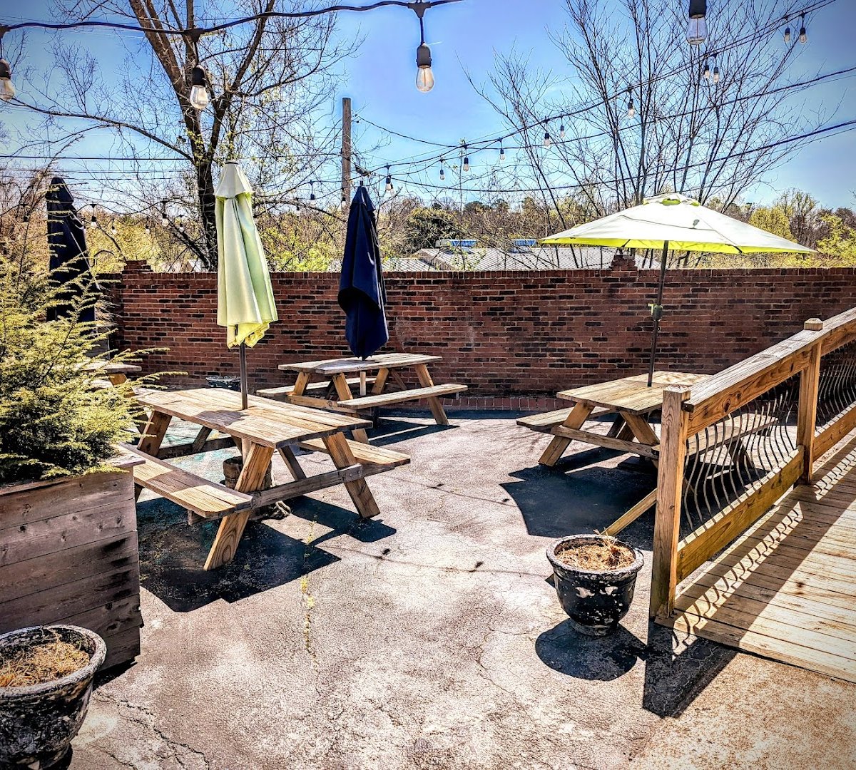 Mayfly Coffee specialty coffee shop in Chattanooga - photo 4