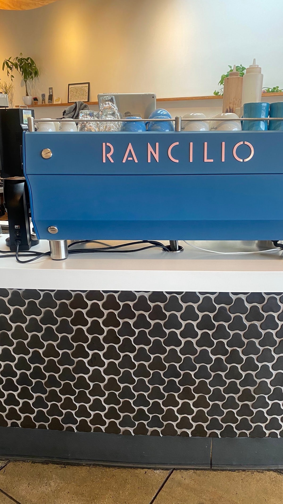 Dinosaur Coffee specialty coffee shop in Los Angeles - photo 9