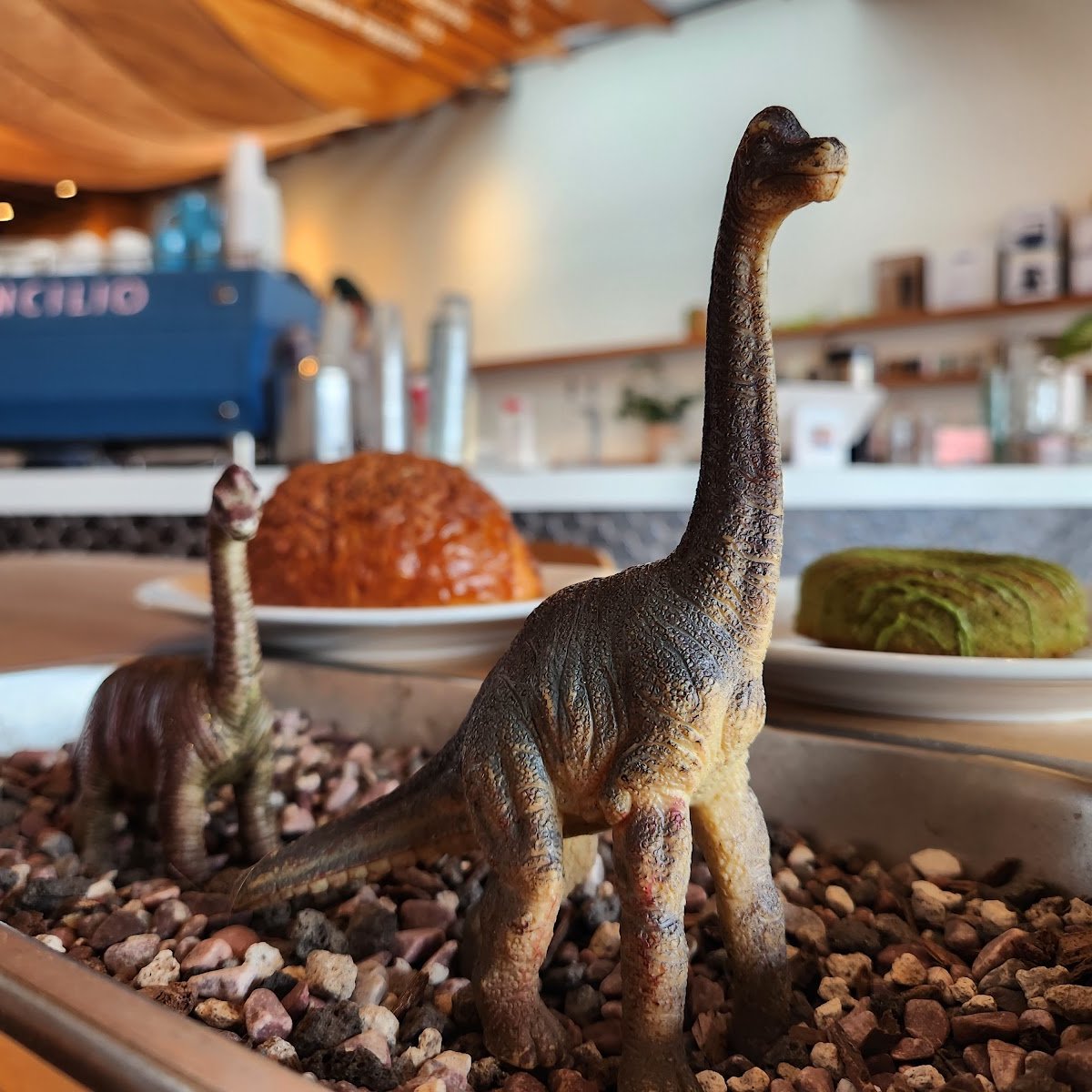 Dinosaur Coffee specialty coffee shop in Los Angeles - photo 10