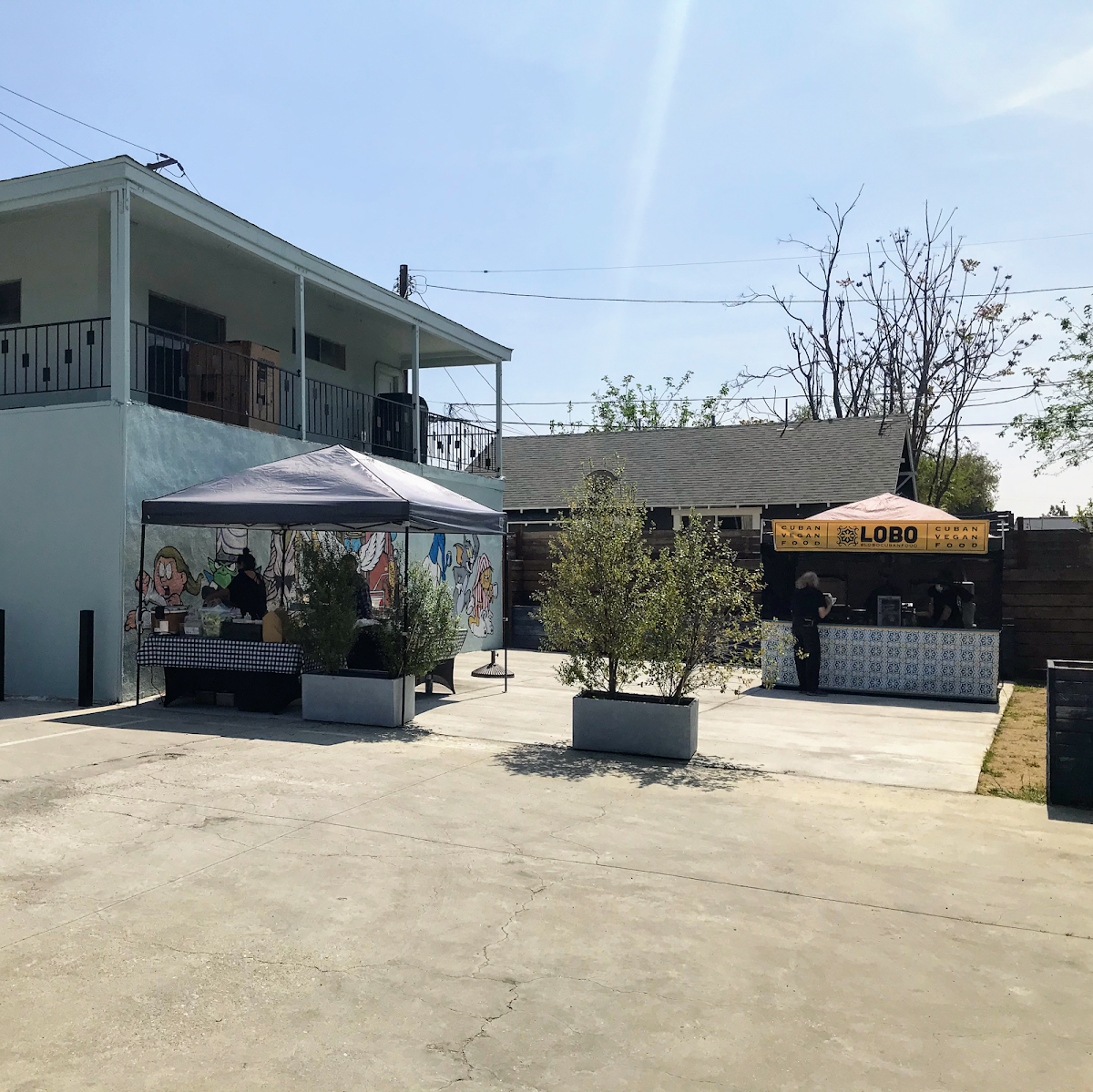 1802 Roasters specialty coffee shop in Los Angeles - photo 3