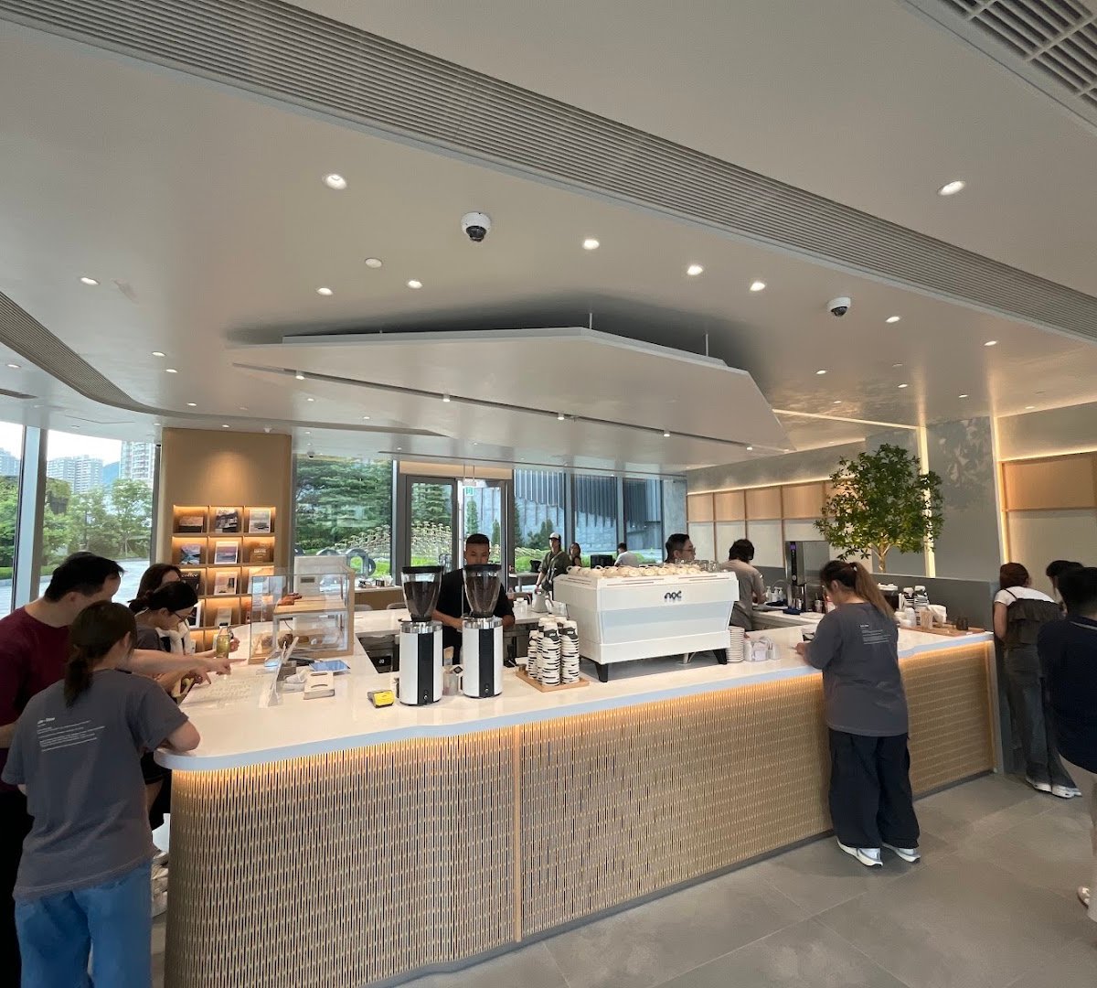 Interior of noc, specialty coffee shop in Hong Kong