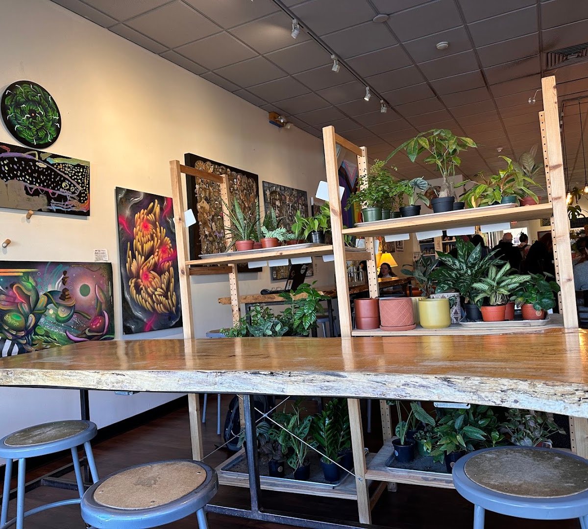 Interior of Phoenix Coffee, specialty coffee shop in Cleveland