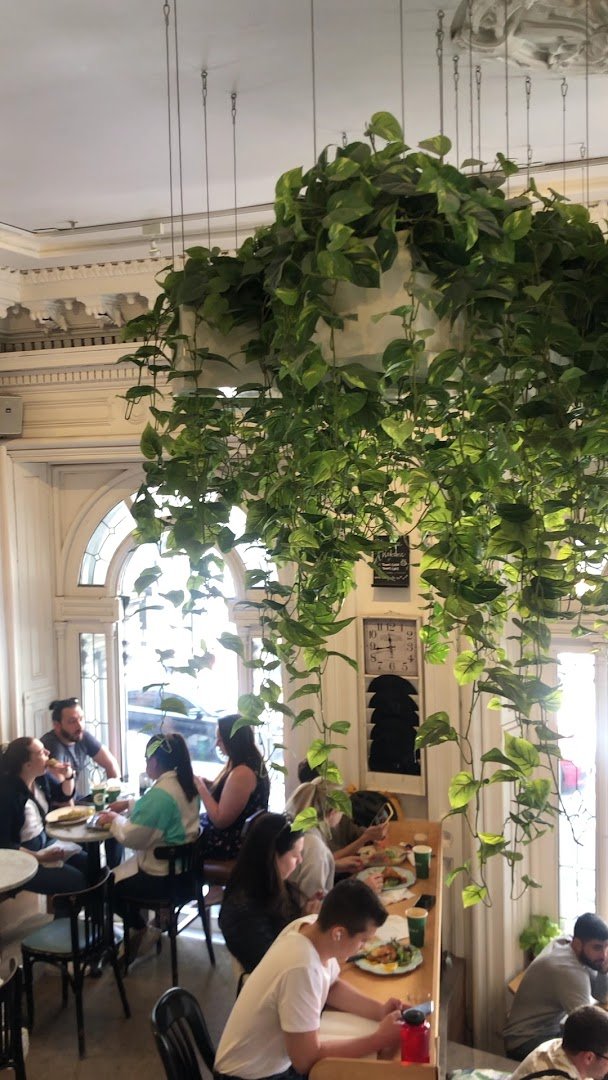 Interior of Tommy Café, specialty coffee shop in Montreal