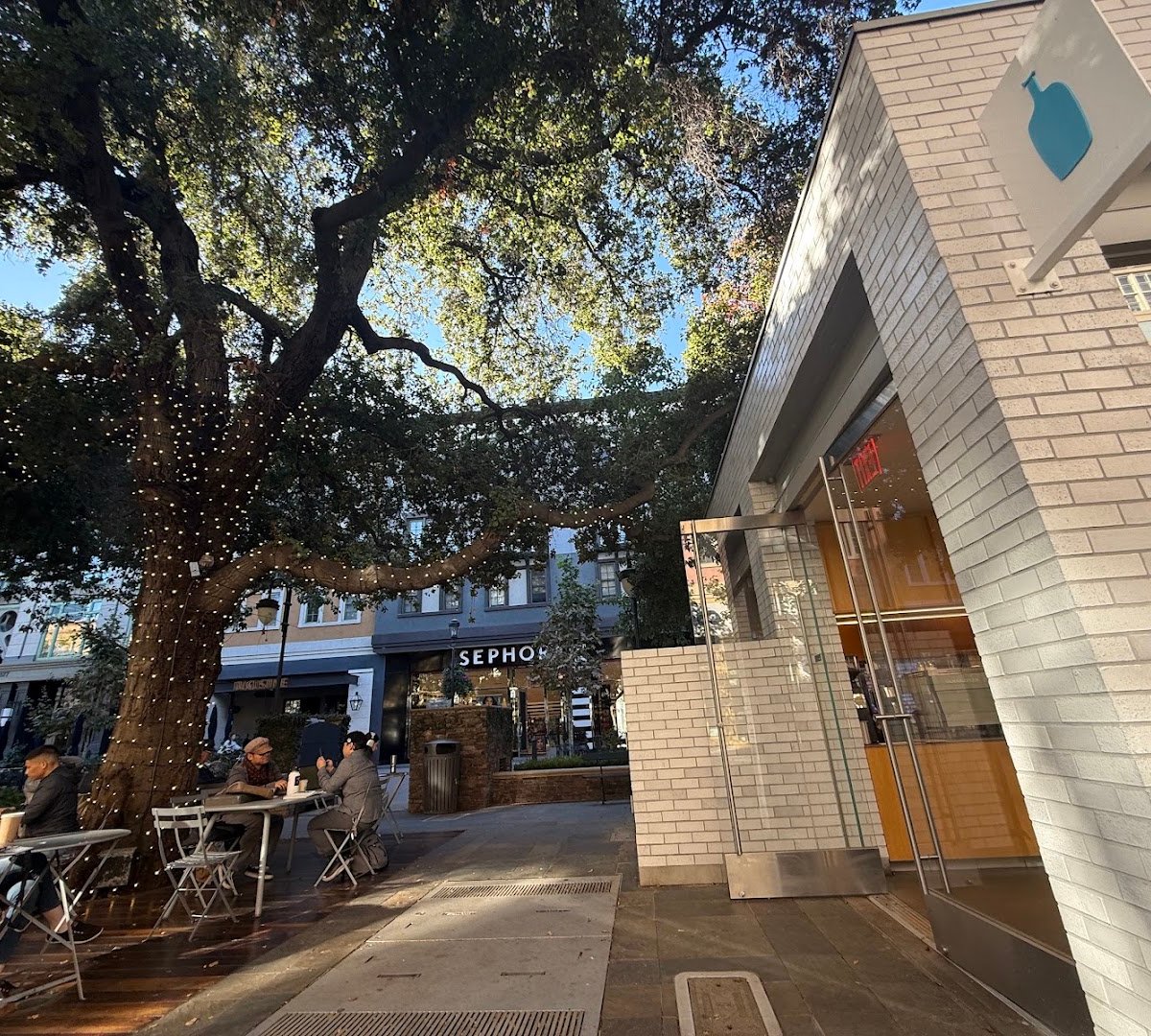 Storefront of Blue Bottle Coffee, specialty coffee shop in San Jose