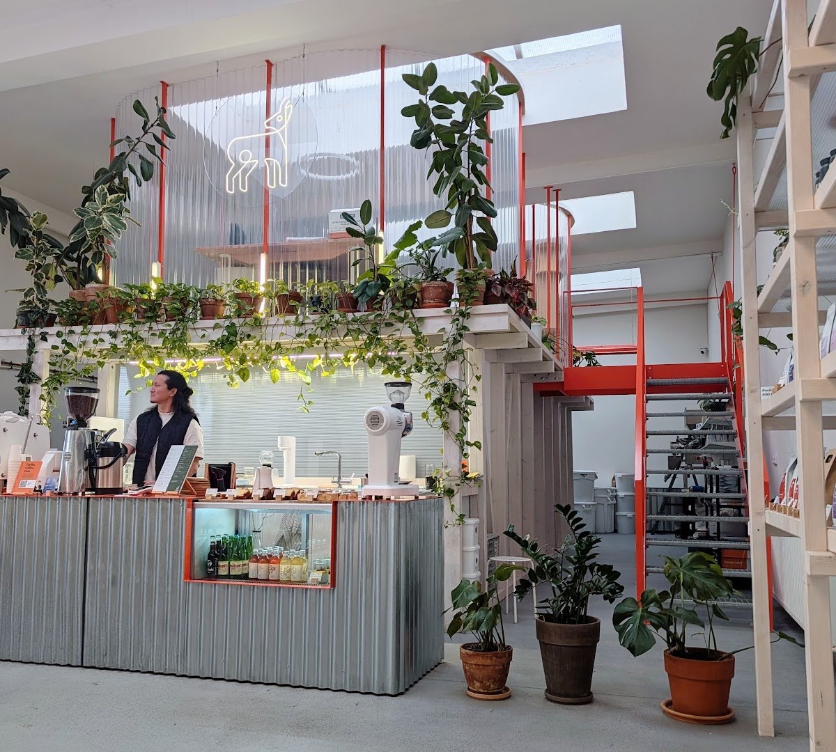 Interior of TYPIKA Karlín, specialty coffee shop in Prague