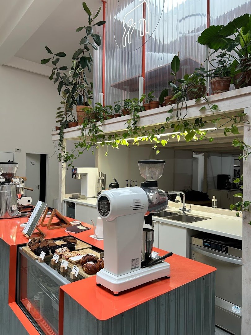 Interior of TYPIKA Karlín, specialty coffee shop in Prague