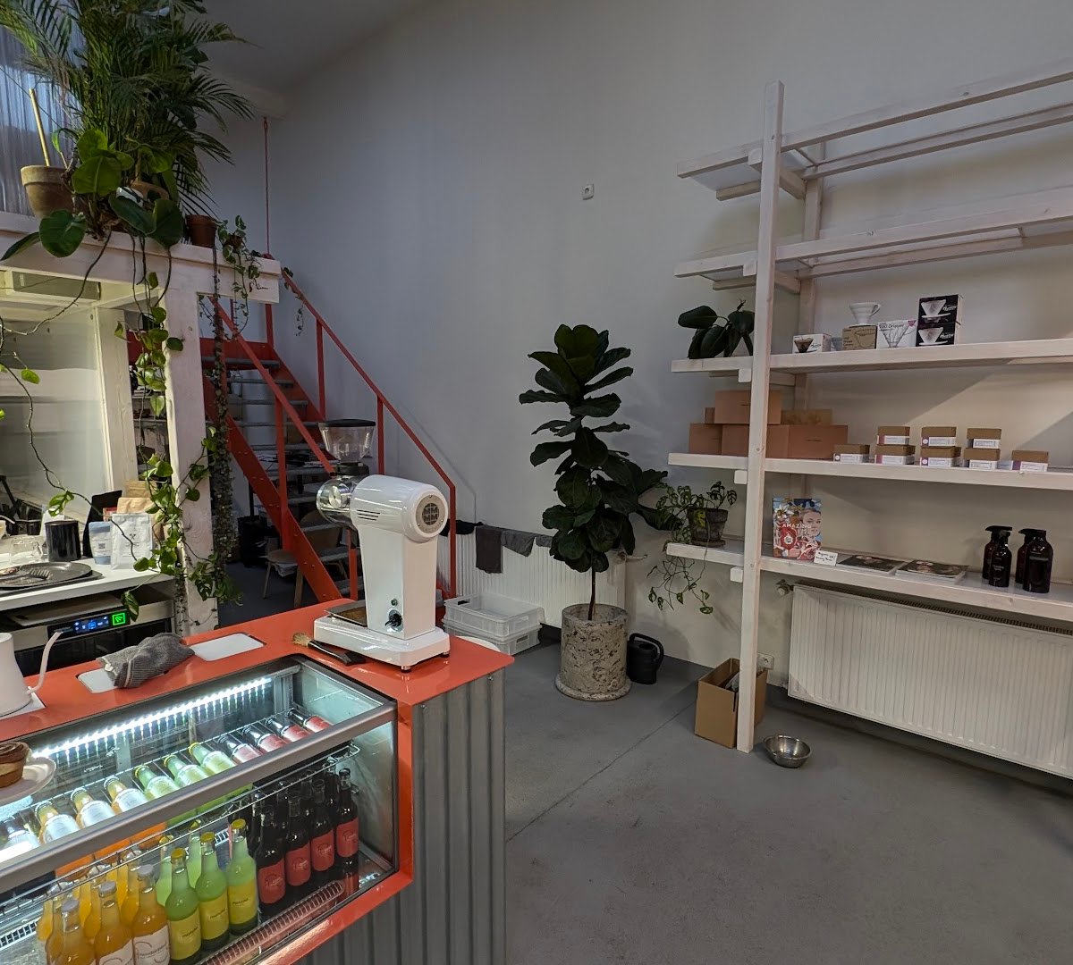 Interior of TYPIKA Karlín, specialty coffee shop in Prague