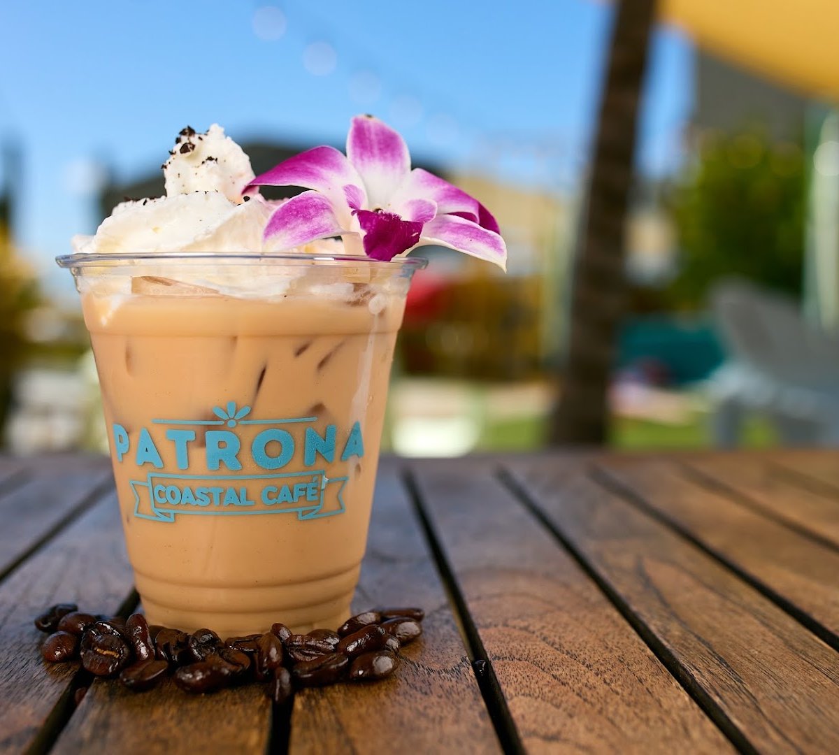 Coffee at Patrona Coastal Cafe, specialty coffee shop in Tampa-St. Petersburg