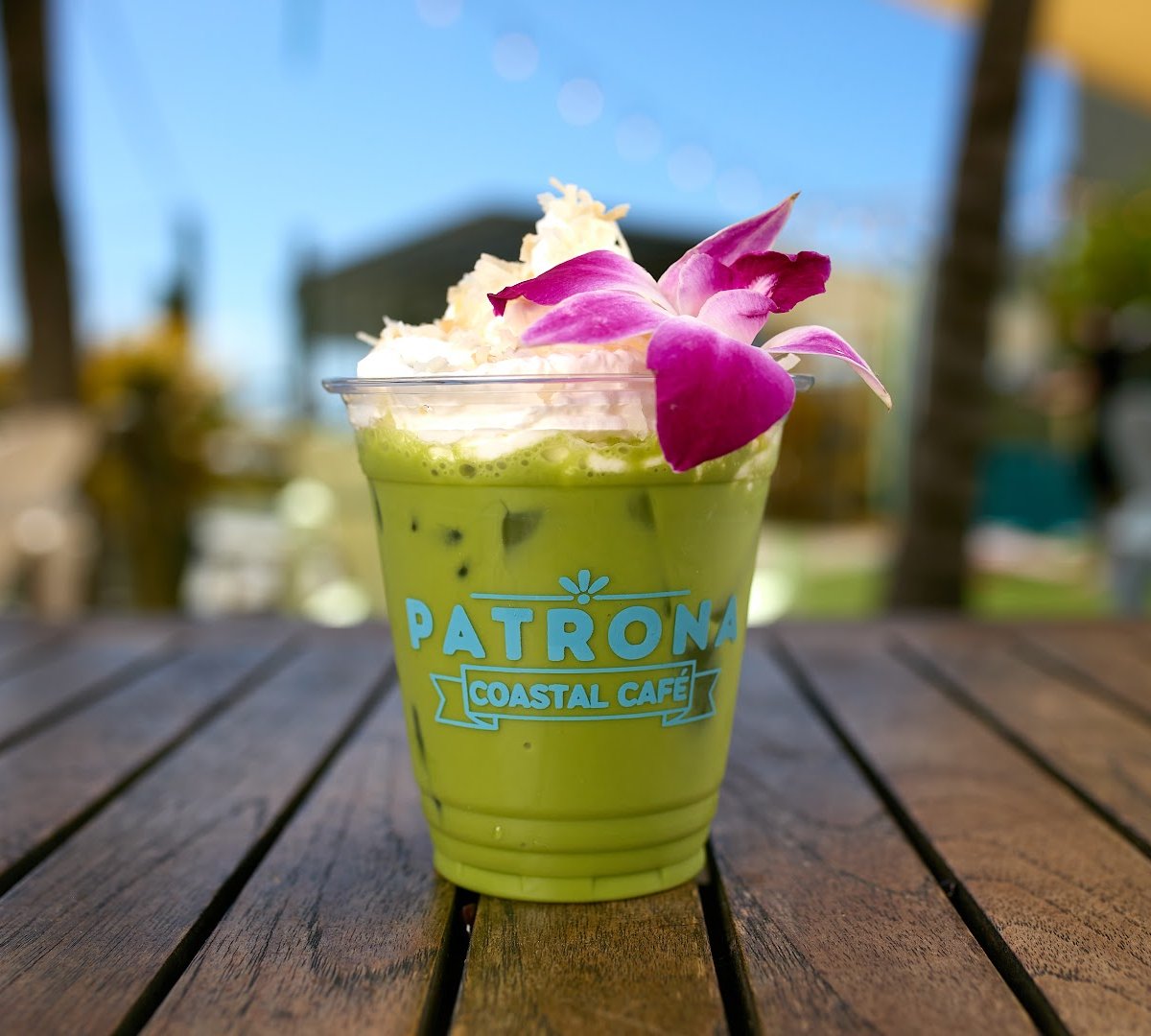 Coffee at Patrona Coastal Cafe, specialty coffee shop in Tampa-St. Petersburg
