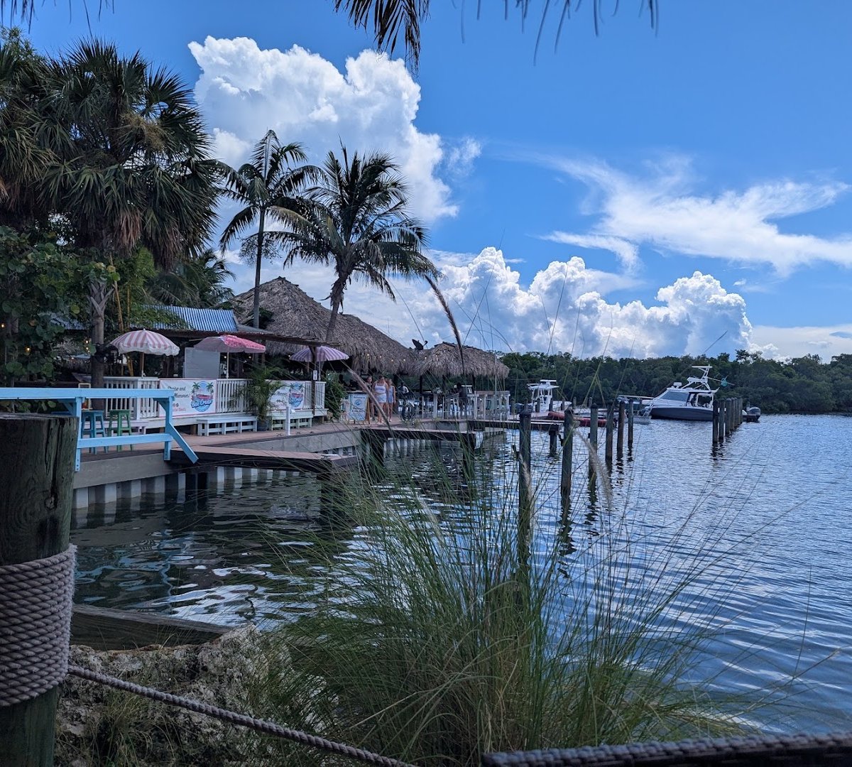 Storefront of Patrona Coastal Cafe, specialty coffee shop in Tampa-St. Petersburg